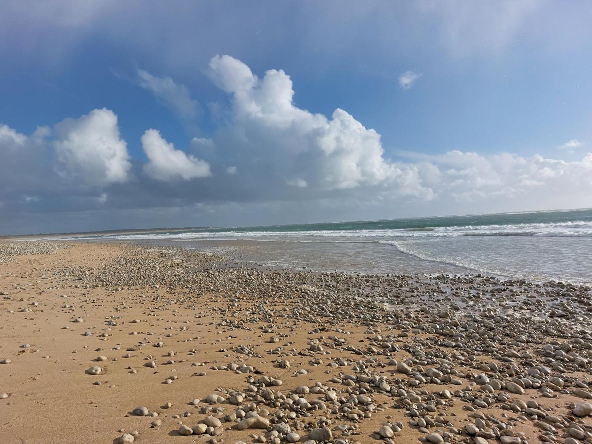 Maison A 8 Min A Pied De La Plage Avec Jardin Clos Et Ombrage Saint-Georges-d'Oleron Exterior foto